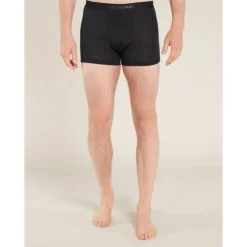 icebreaker 125 Cool-Lite Anatomica Boxers - Boxer laine mérinos homme