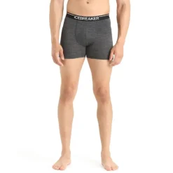 Icebreaker Anatomica Boxers - Boxer homme