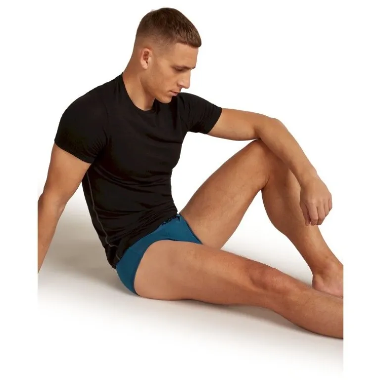 Icebreaker Anatomica Briefs - Slip homme
