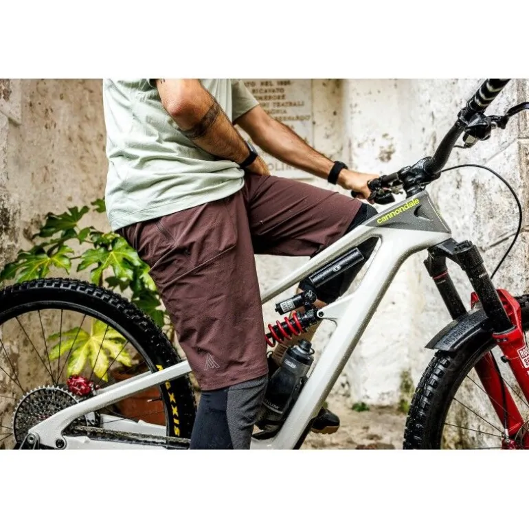 7mesh Glidepath Short 14